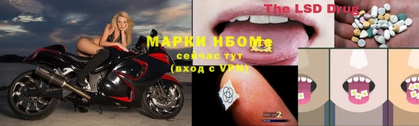 стаф Вуктыл