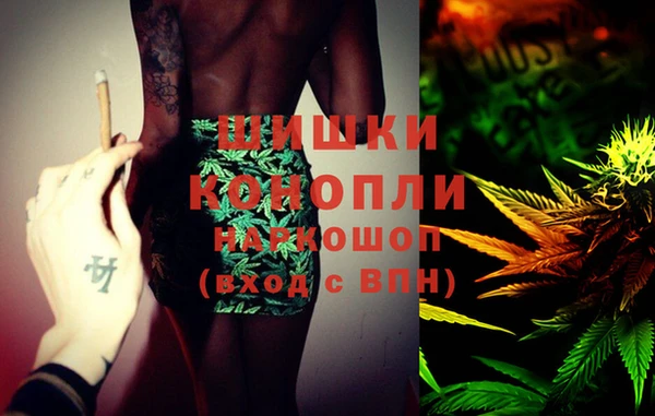 spice Верея