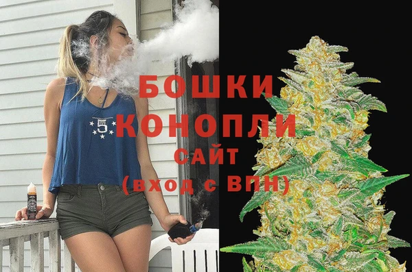 spice Верея