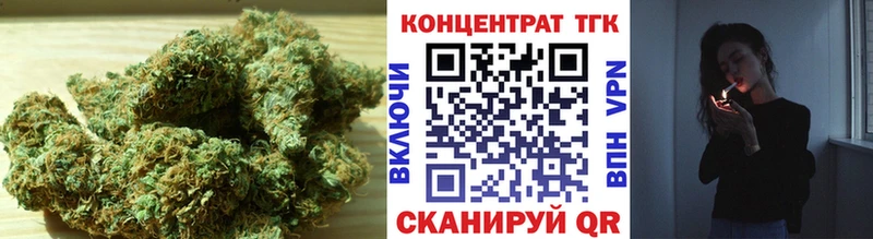 ТГК Wax  Вязьма 